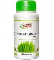 Wheat Grass Shri Ganga (   ) (60 )