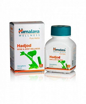 Hadjod Himalaya ( ) (60 )