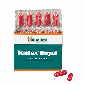 Tentex Royal Himalaya (  ) (10 )